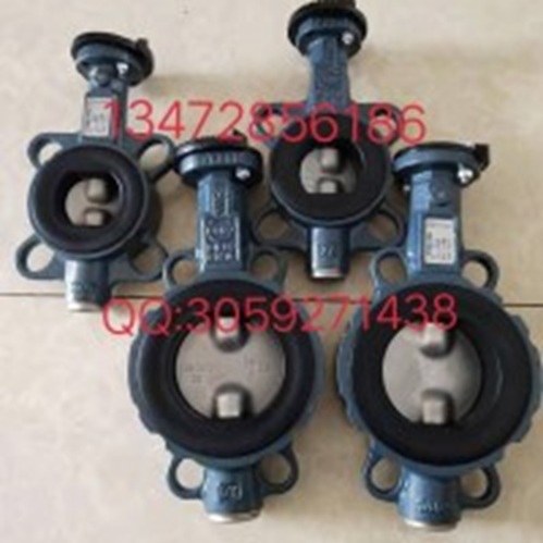 Z001-A型德国依博罗蝶阀 DN40-DN500